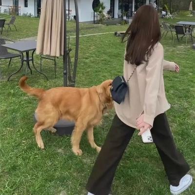 病态领土