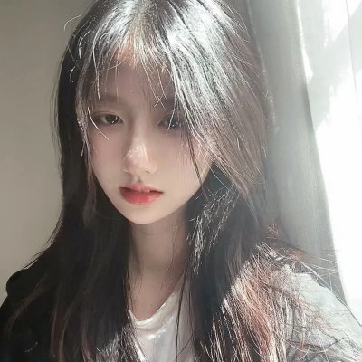 当哈维遇见鲍勃